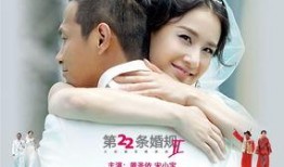 22条婚规2在线观看,婚姻真相大揭秘，在线观看揭示婚姻困境与破解之道